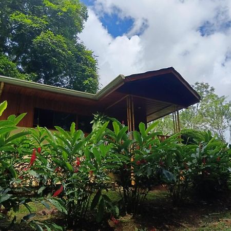 Gambas Lodge La Fortuna Εξωτερικό φωτογραφία
