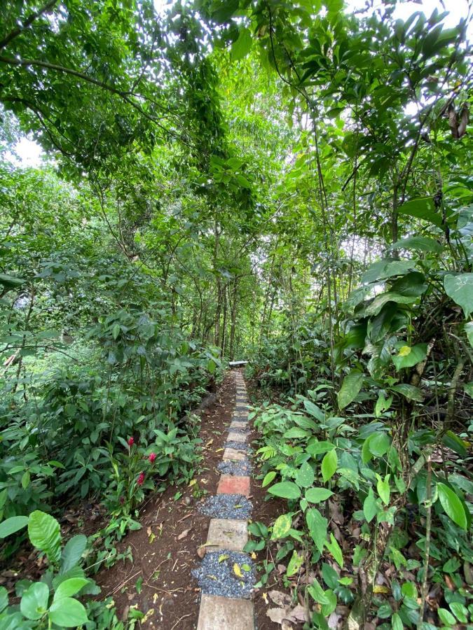 Gambas Lodge La Fortuna Εξωτερικό φωτογραφία
