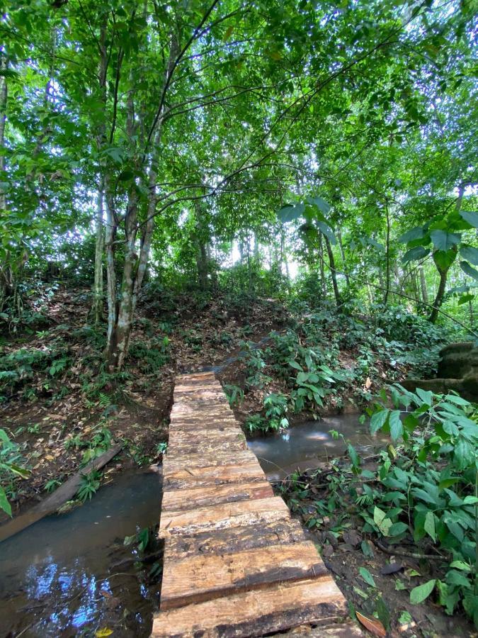 Gambas Lodge La Fortuna Εξωτερικό φωτογραφία