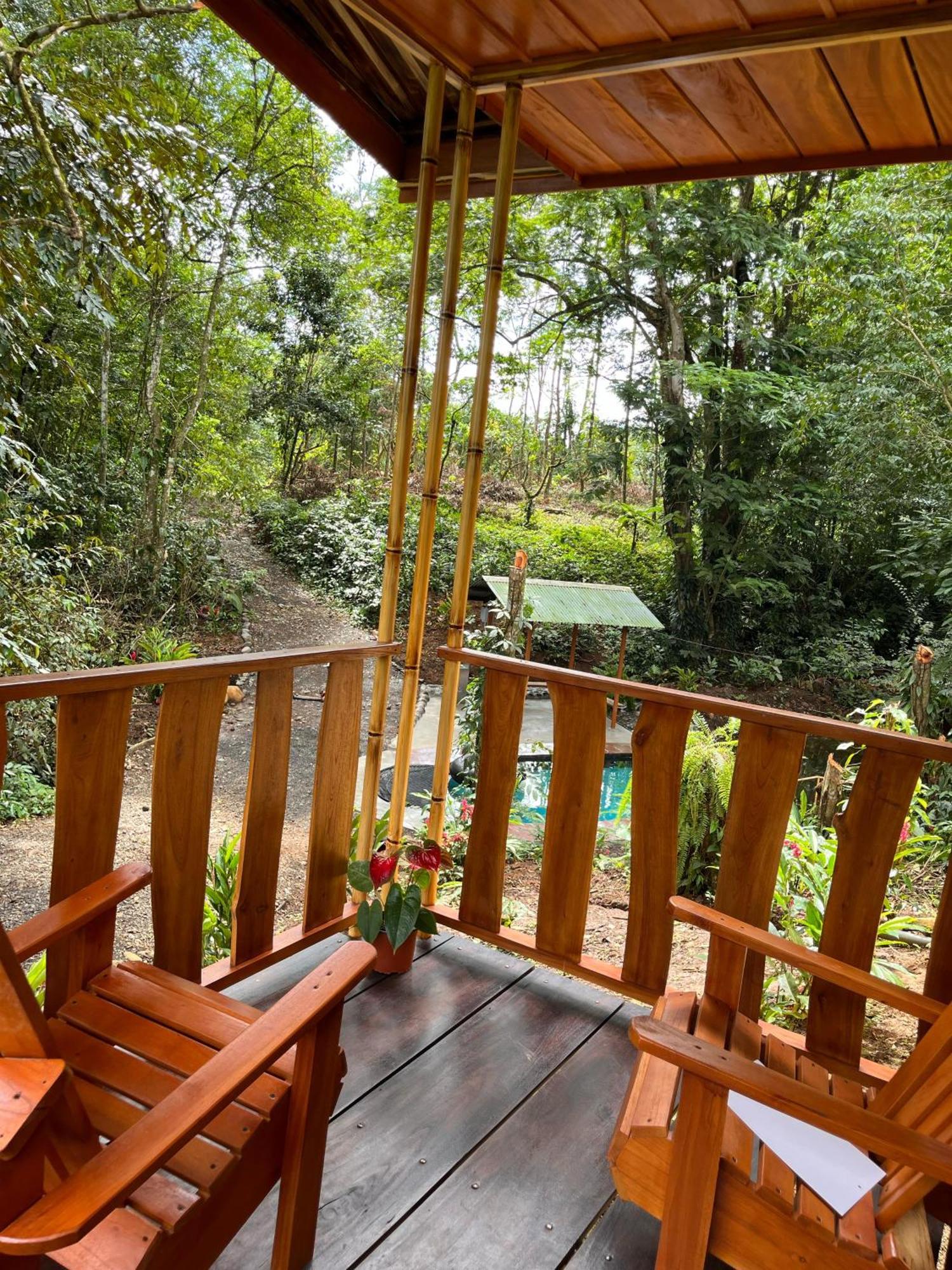Gambas Lodge La Fortuna Εξωτερικό φωτογραφία