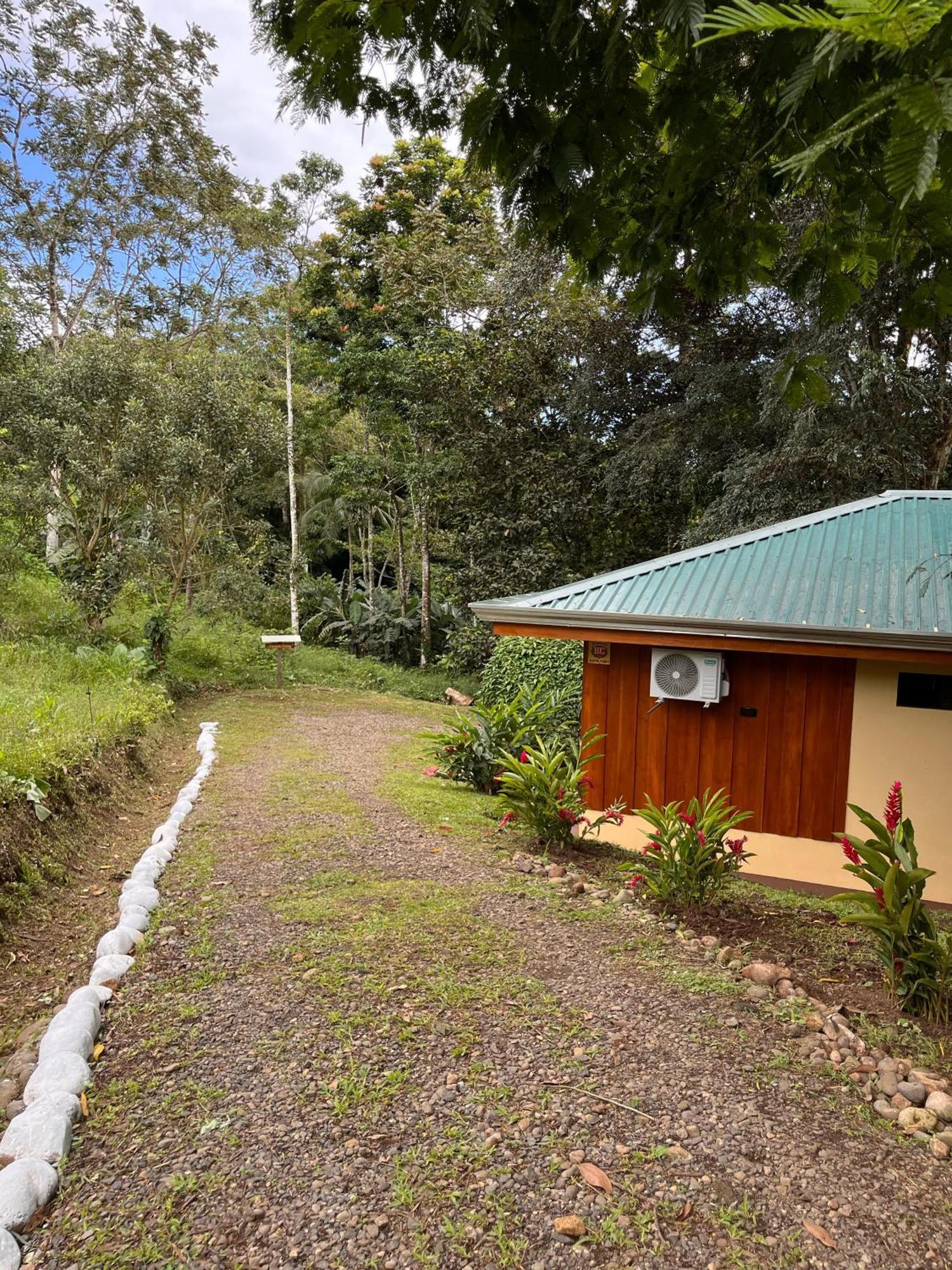 Gambas Lodge La Fortuna Εξωτερικό φωτογραφία