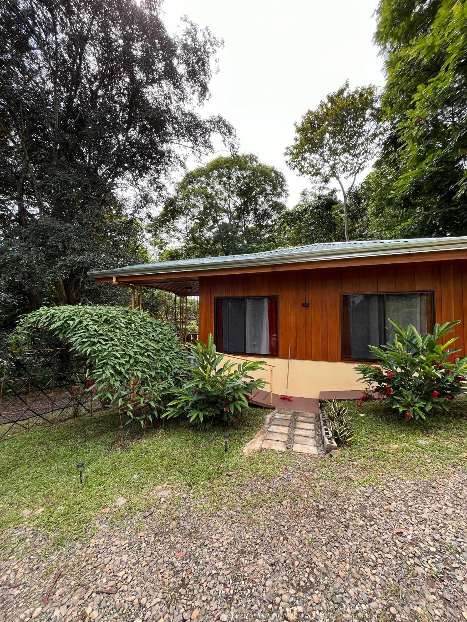Gambas Lodge La Fortuna Εξωτερικό φωτογραφία