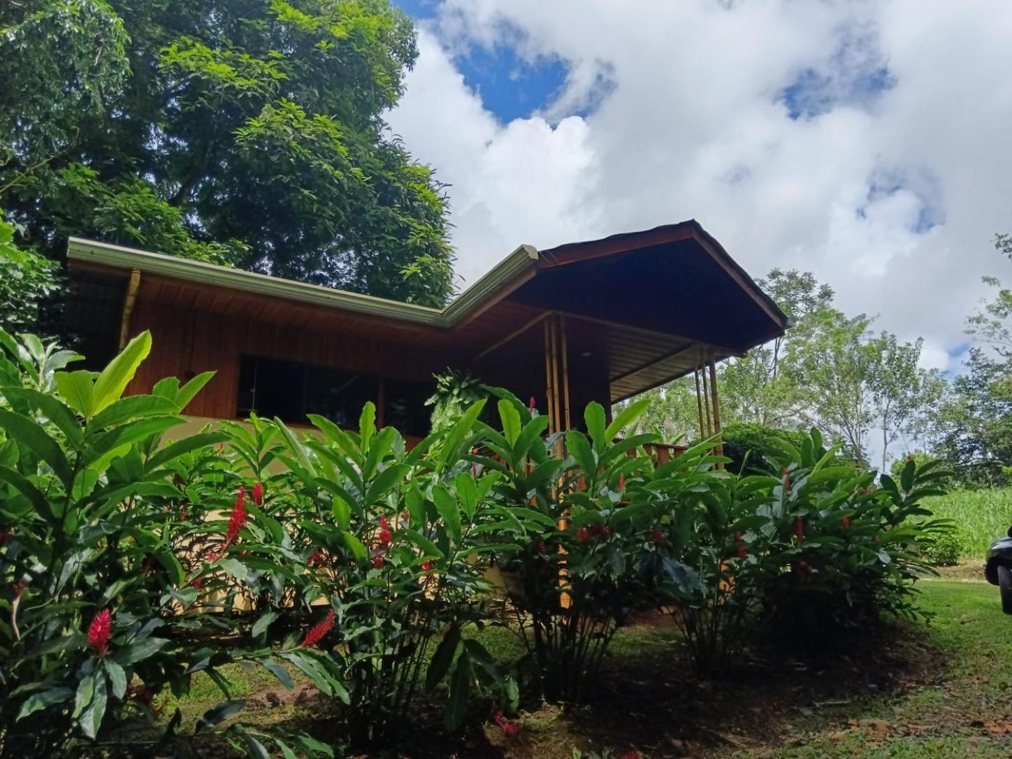 Gambas Lodge La Fortuna Εξωτερικό φωτογραφία