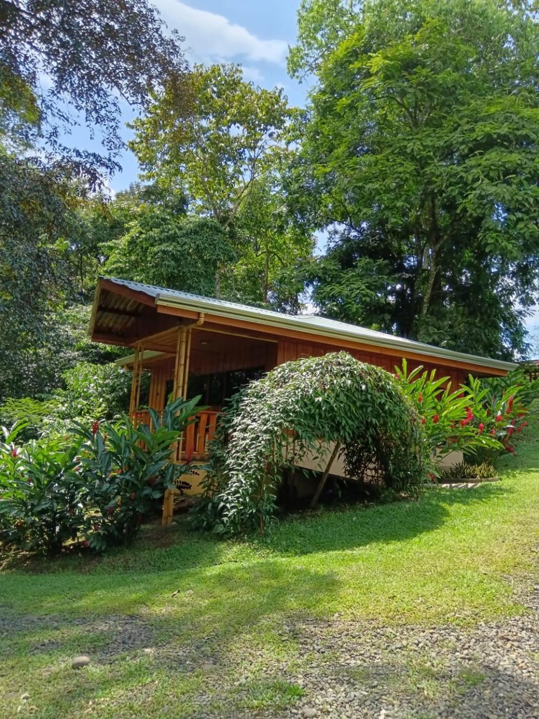 Gambas Lodge La Fortuna Εξωτερικό φωτογραφία