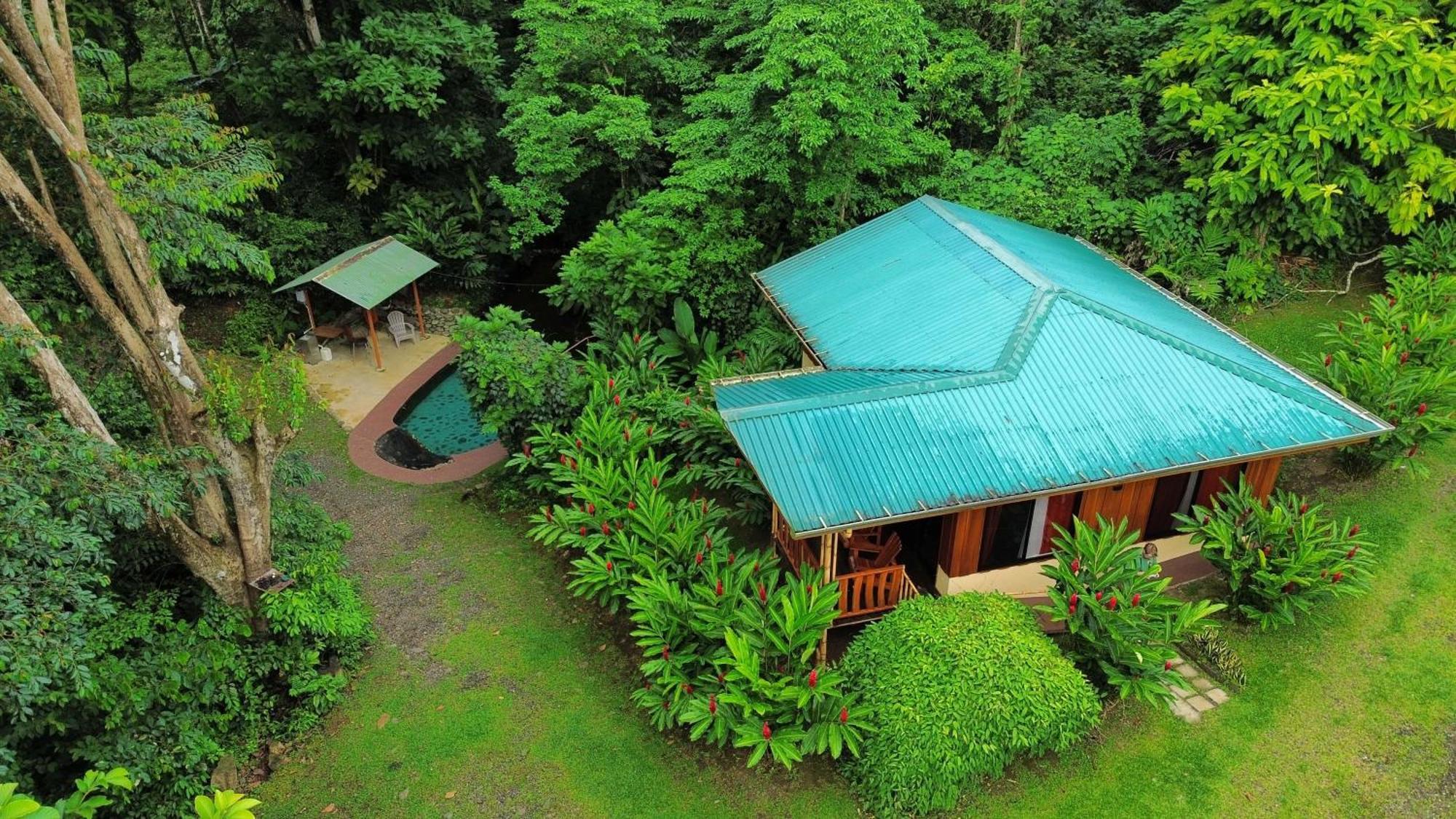 Gambas Lodge La Fortuna Εξωτερικό φωτογραφία