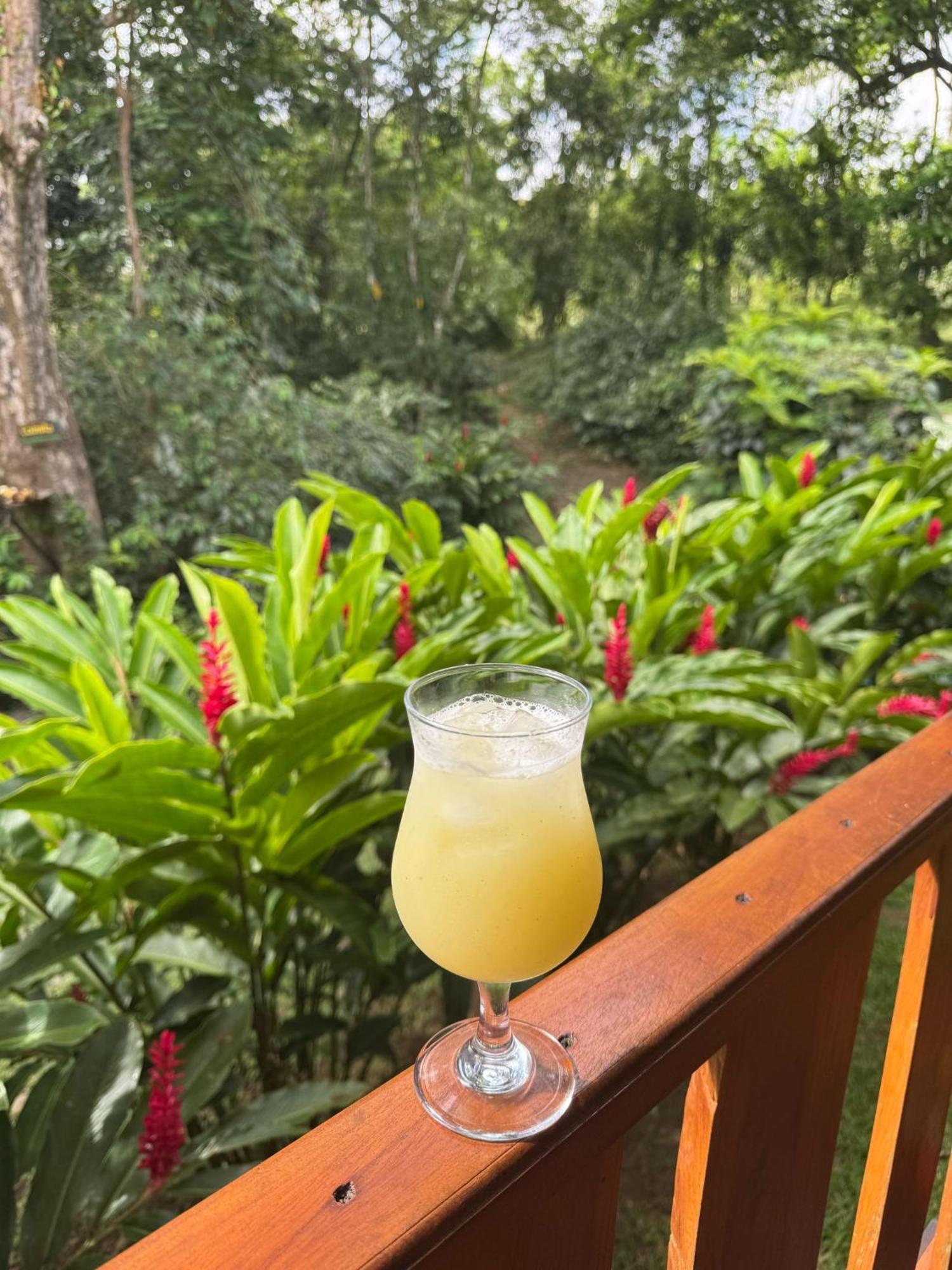 Gambas Lodge La Fortuna Εξωτερικό φωτογραφία